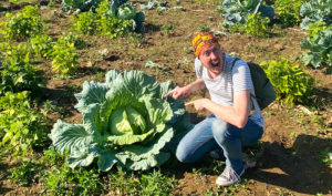Me squatting next to an enormous cabbage!